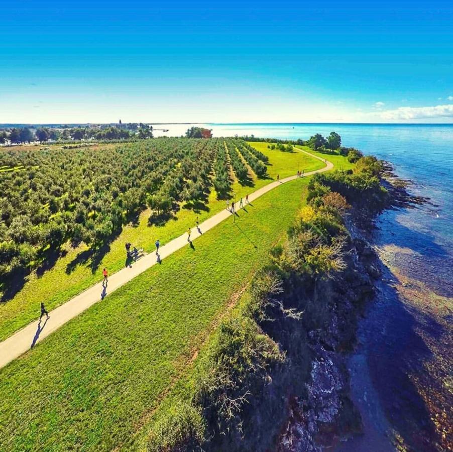Corinne Garden Apartment Novigrad Istria