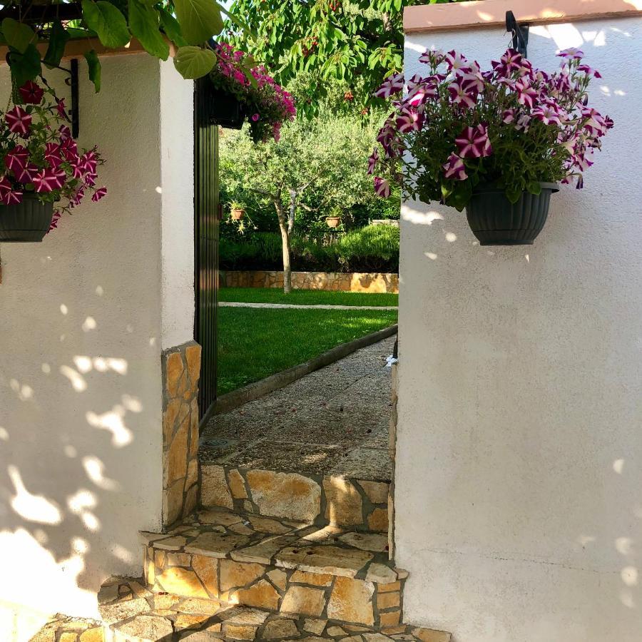 Corinne Garden Apartment Novigrad Istria